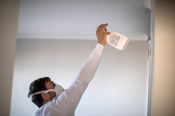 Best Mold Remediation Services  in Attla, AL
