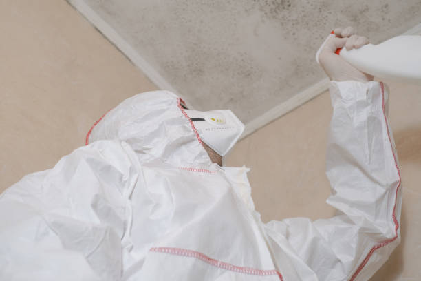 Best Toxic Mold Removal  in Attla, AL